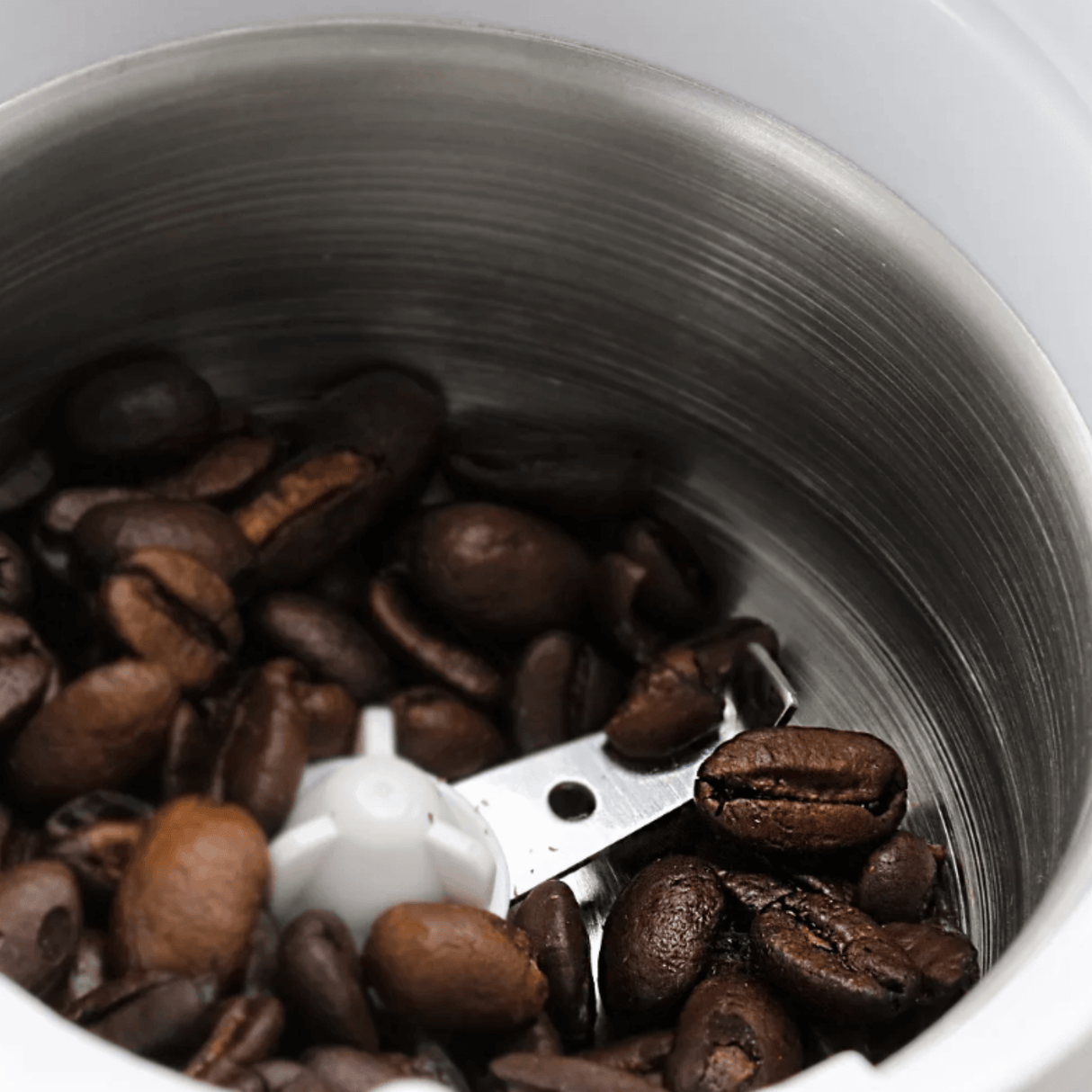 Better Chef 150W Power Blade Coffee Grinder from Jupiter Gear Home