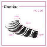 GladGirl False Lash Kit - December from GladGirl