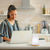 2-in-1 USB Essential oil Aroma Diffuser from Pursonic