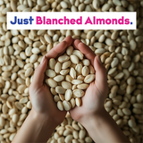 Almond Milk Base 2-Pack From JOI