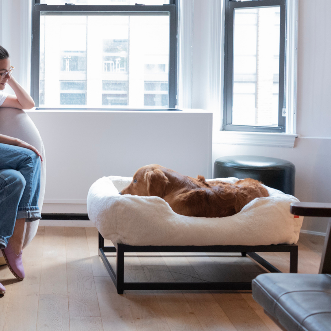 The FÜZI Dog Bed - Faux Fur from FÜZI
