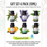 3-in-1 Salt Diffuser & 6 Pack Essential Oil Set from Pursonic