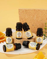 Pet-Friendly Aromatherapy Essential Oils Collection - Cedarwood, Chamomile, Frankincense, Ginger, Lavender, and Rosemary from Pursonic