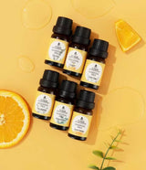 Pet-Friendly Aromatherapy Essential Oils Collection - Cedarwood, Chamomile, Frankincense, Ginger, Lavender, and Rosemary from Pursonic