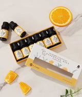 Pet-Friendly Aromatherapy Essential Oils Collection - Cedarwood, Chamomile, Frankincense, Ginger, Lavender, and Rosemary from Pursonic