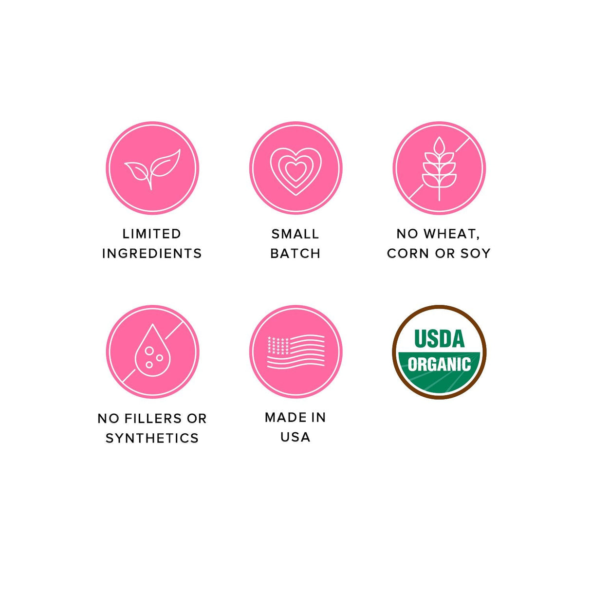 Organic Baked Dog Treats - Cheeze Pleeze from Ava's Pet Palace