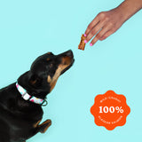 Crunchy Jerky Dog Treats - Snappin' Salmon from Ava's Pet Palace