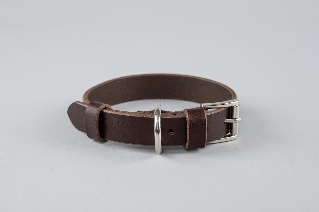 Pet Collar from Atlantis Handmade Shoes