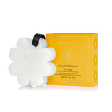 Sweet Patchouli | Boxed Flower from Spongellé