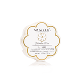 Daisy Spongette Assorted Pack From Spongellé