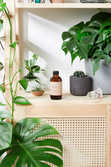 Natural Aged After Shave / Cologne Organic Bay Woodsy / Men’s Natural Organic After Shave from Butter Me Up Organics