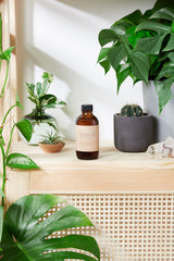 Natural Aged After Shave / Cologne Organic Bay Woodsy / Men’s Natural Organic After Shave from Butter Me Up Organics