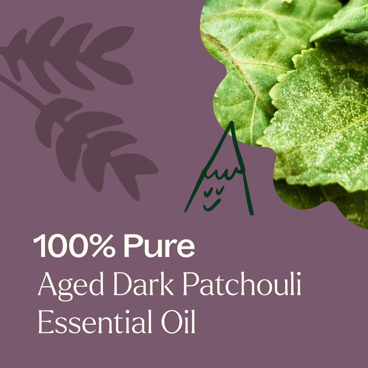 Aged Dark Patchouli Essential Oil Pre-Diluted Roll-On 10 ml from Plant Therapy