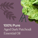 Aged Dark Patchouli Essential Oil from Plant Therapy