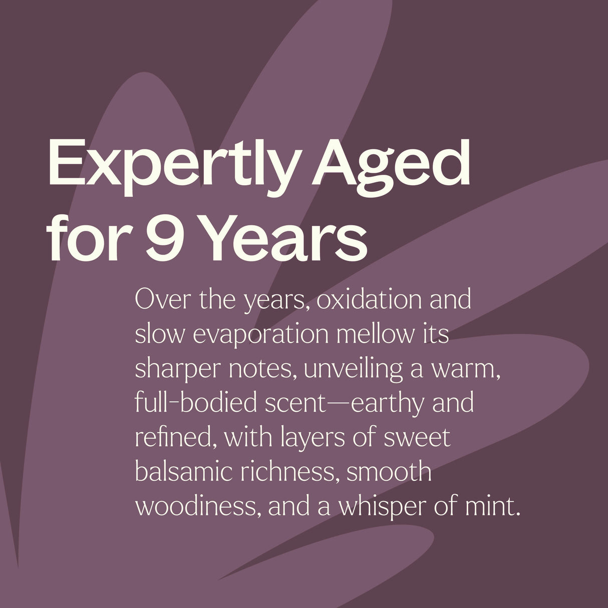 Aged Dark Patchouli Essential Oil from Plant Therapy