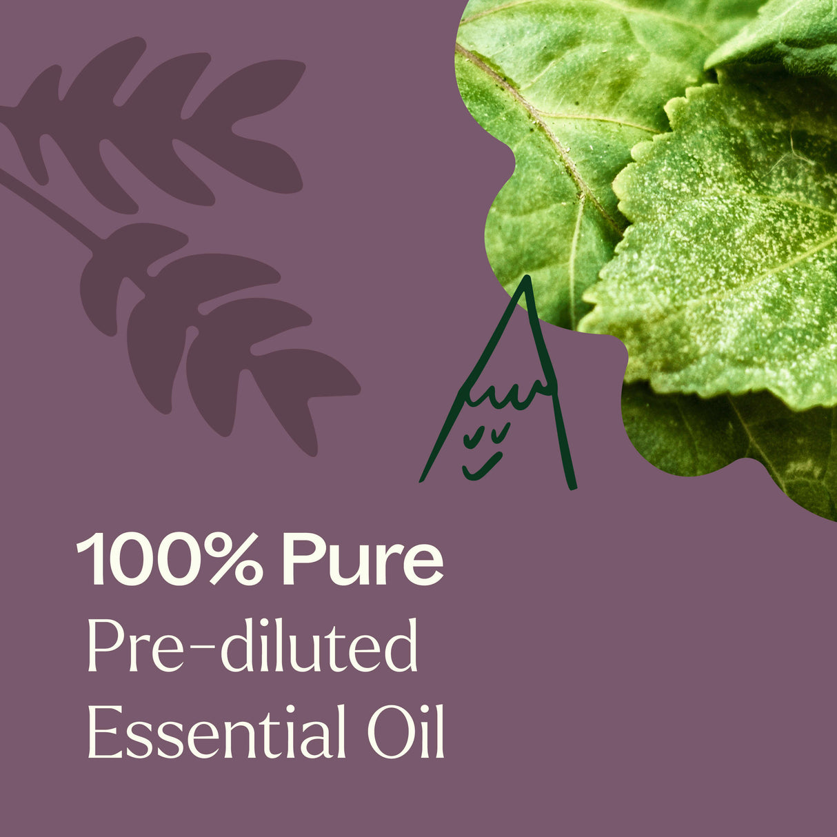 Aged Dark Patchouli Essential Oil Pre-Diluted Roll-On 10 ml from Plant Therapy