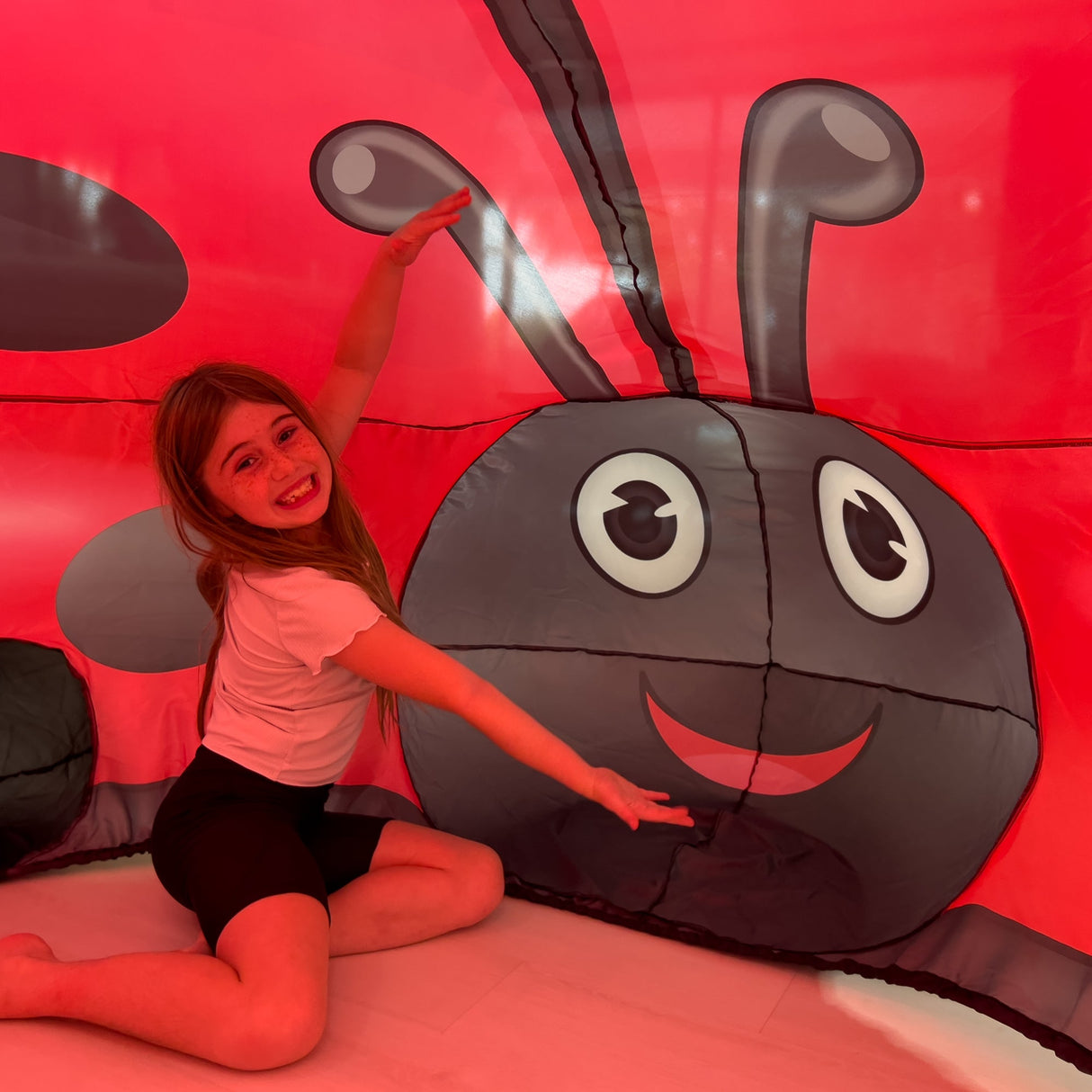 The Original AirFort - Ladybug from AirFort.com
