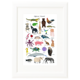 Art Print: Alphabet Animals from Forage Paper Co.