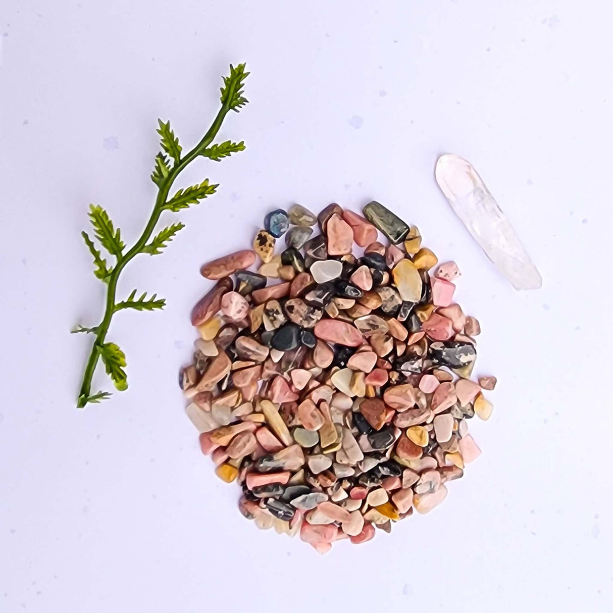 The Angie Hope & Healing Terrarium from Moss Ball Pets™