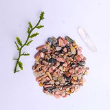 The Angie Hope & Healing Terrarium from Moss Ball Pets™