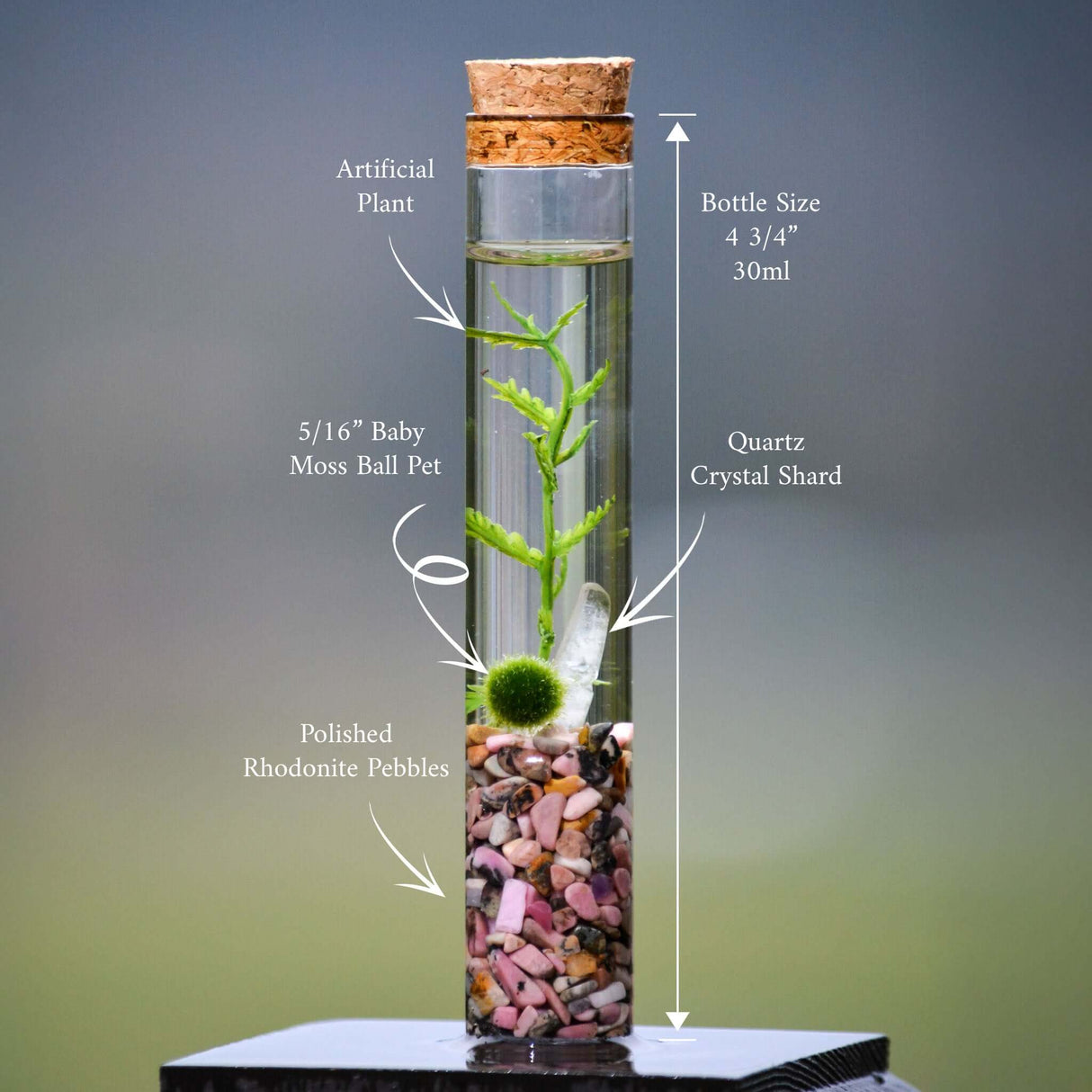 The Angie Hope & Healing Terrarium from Moss Ball Pets™