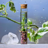 The Angie Hope & Healing Terrarium from Moss Ball Pets™