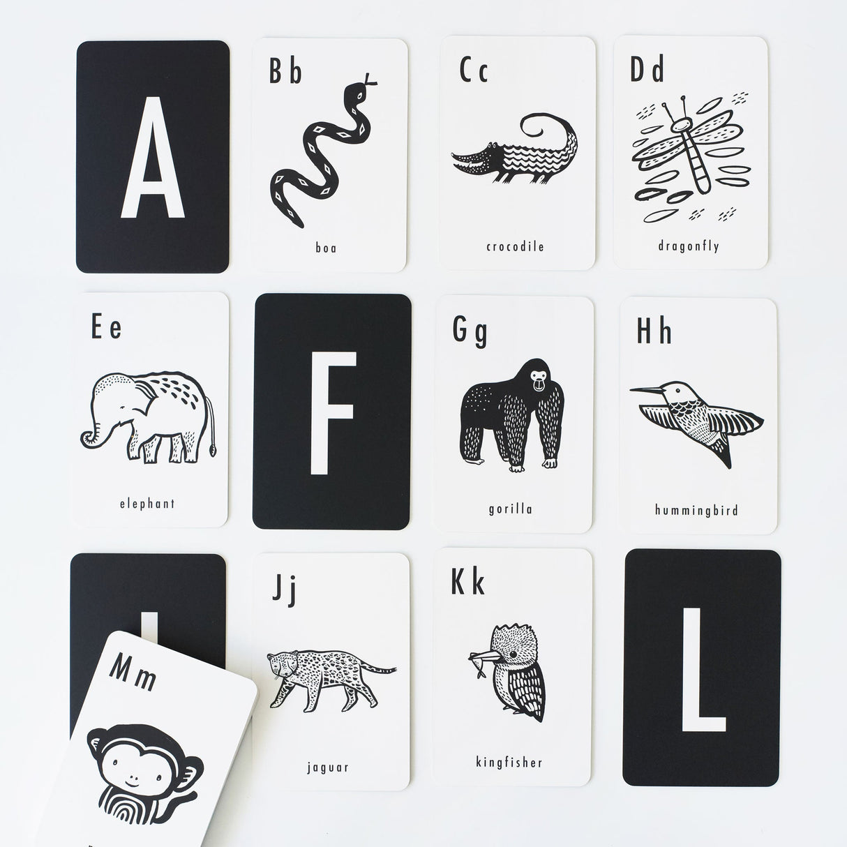 Jungle Alphabet Cards From Wee Gallery