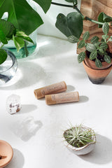 Organic Anti-Chap Lip Balm / Chapped Lips / Organic Lip Moisturizer / PAPERBOARD Tube from Butter Me Up Organics