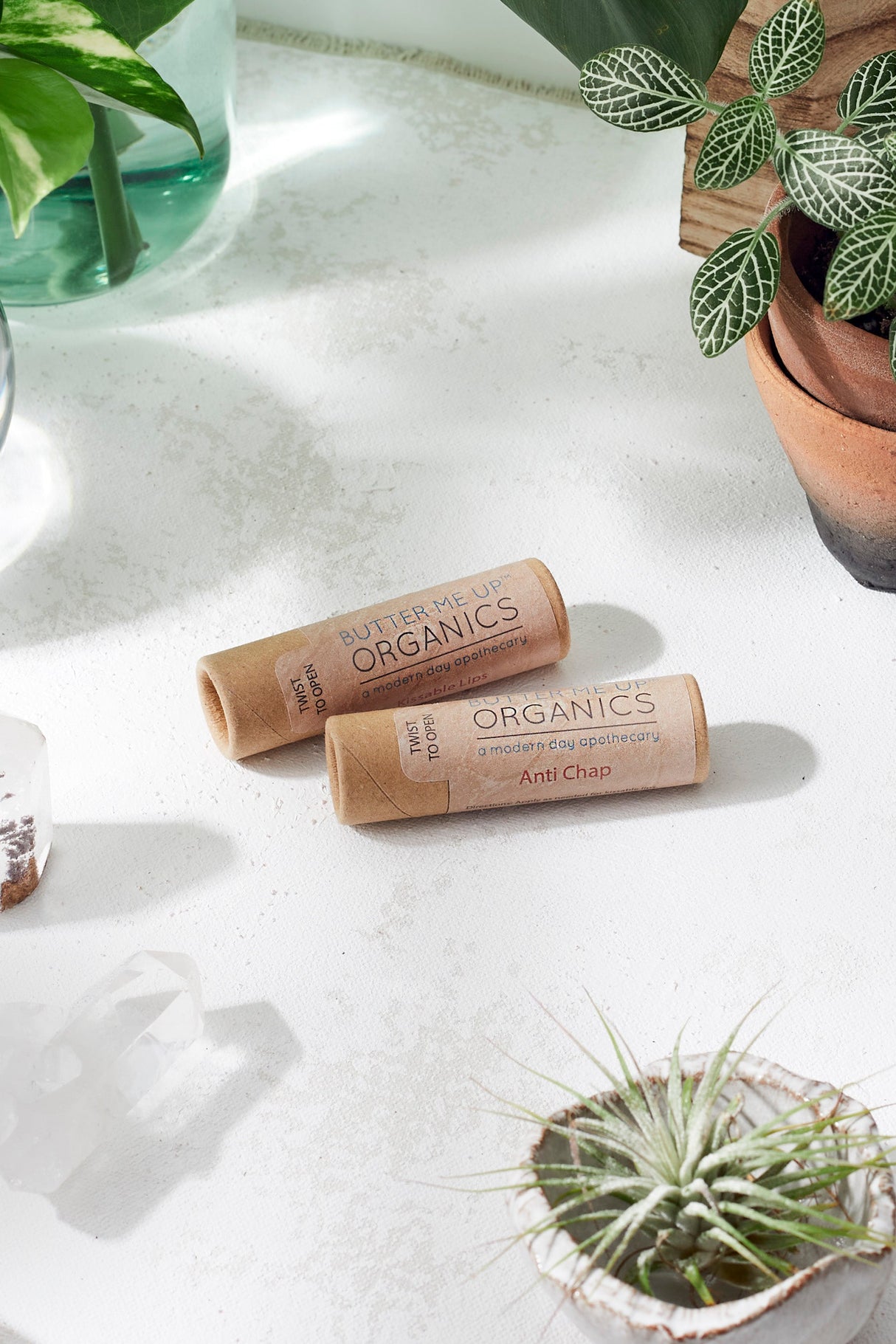 Organic Anti-Chap Lip Balm / Chapped Lips / Organic Lip Moisturizer / PAPERBOARD Tube from Butter Me Up Organics
