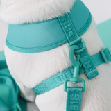 Frenchie Duo Reversible Harness - Aqua from Frenchie Bulldog