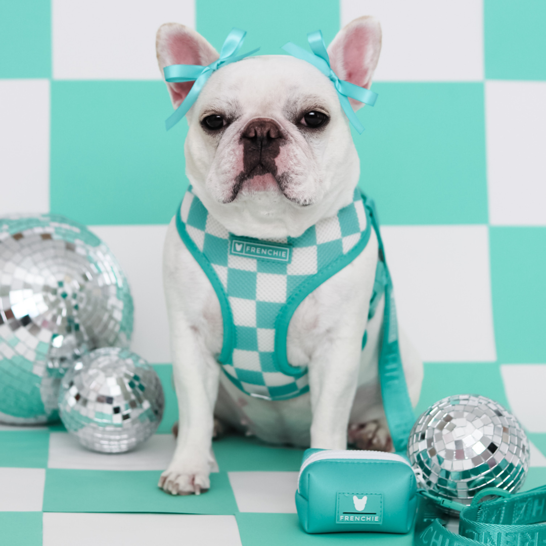 Frenchie Poo Bag Holder - Aqua from Frenchie Bulldog