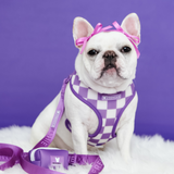 Frenchie Duo Reversible Harness - LA Purple from Frenchie Bulldog