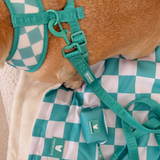 Frenchie Comfort Leash - Aqua from Frenchie Bulldog