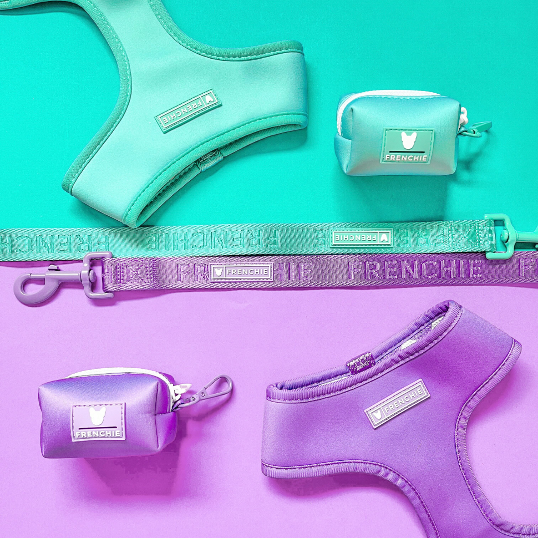 Frenchie Poo Bag Holder - Aqua from Frenchie Bulldog