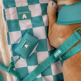 Frenchie Poo Bag Holder - Aqua from Frenchie Bulldog