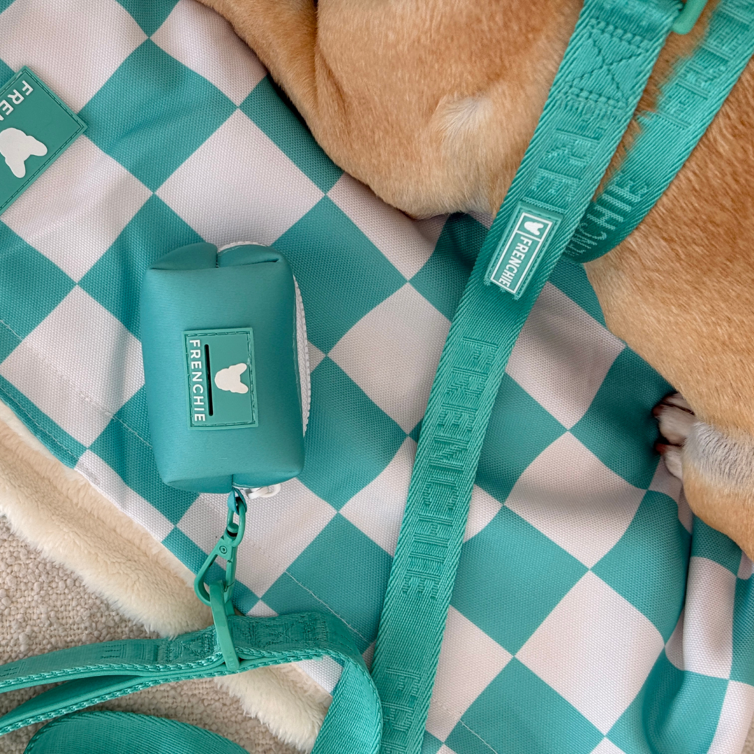 Frenchie Comfort Leash - Aqua from Frenchie Bulldog