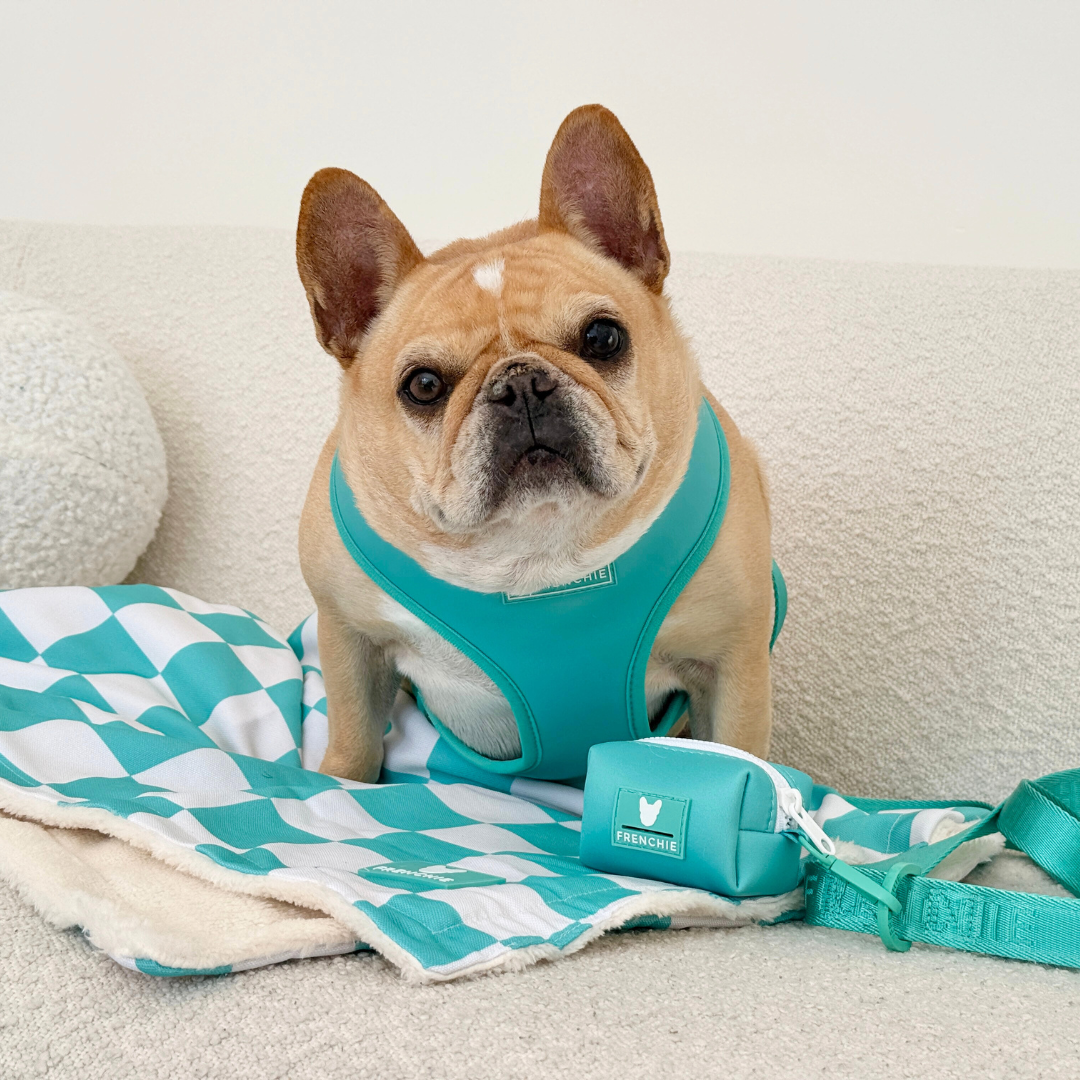 Frenchie Poo Bag Holder - Aqua from Frenchie Bulldog