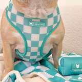 Frenchie Duo Reversible Harness - Aqua from Frenchie Bulldog