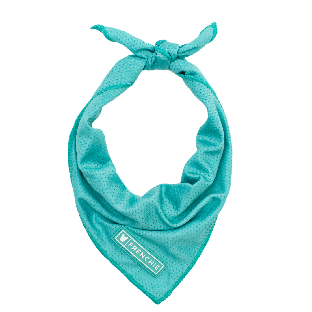 Frenchie Cooling Bandana - Aqua from Frenchie Bulldog