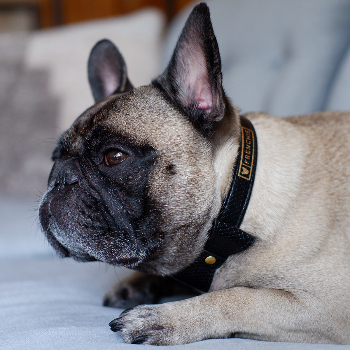 Vegan Leather- Black Croc from Frenchie Bulldog