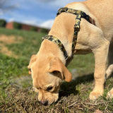 Archie Loves Mud Freedom No-Pull Dog Harness – EarthStyle from 2 Hounds Design