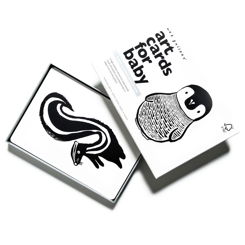Art Cards for Baby - Black and White Collection From Wee Gallery