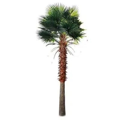 Tall Artificial Mexican Fan Palm Tree (13ft - 23ft) UV Resistant (10-12 Week Back Order) from Designer Plants USA