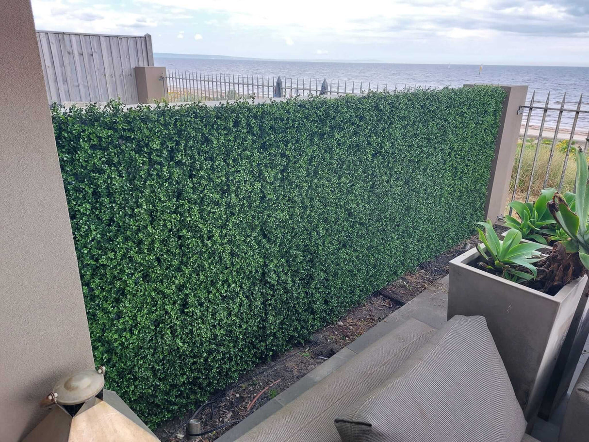 Natural Artificial Boxwood Wall 40" x 40" 11SQ FT Commercial Grade UV Resistant from Designer Plants USA