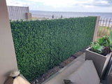 Natural Artificial Boxwood Wall 40" x 40" 11SQ FT Commercial Grade UV Resistant from Designer Plants USA