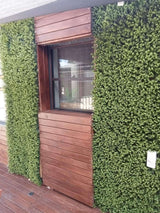 Natural Artificial Boxwood Wall 40" x 40" 11SQ FT Commercial Grade UV Resistant from Designer Plants USA