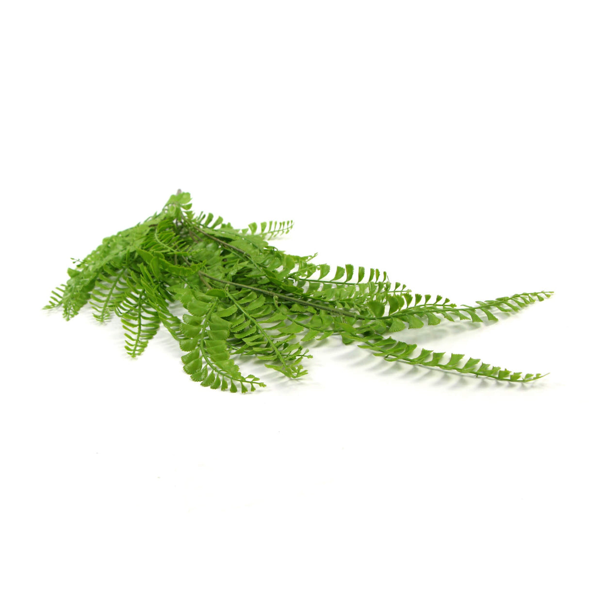 Artificial Dark Green Hanging Button Fern Plant 31" UV Resistant from Designer Plants USA