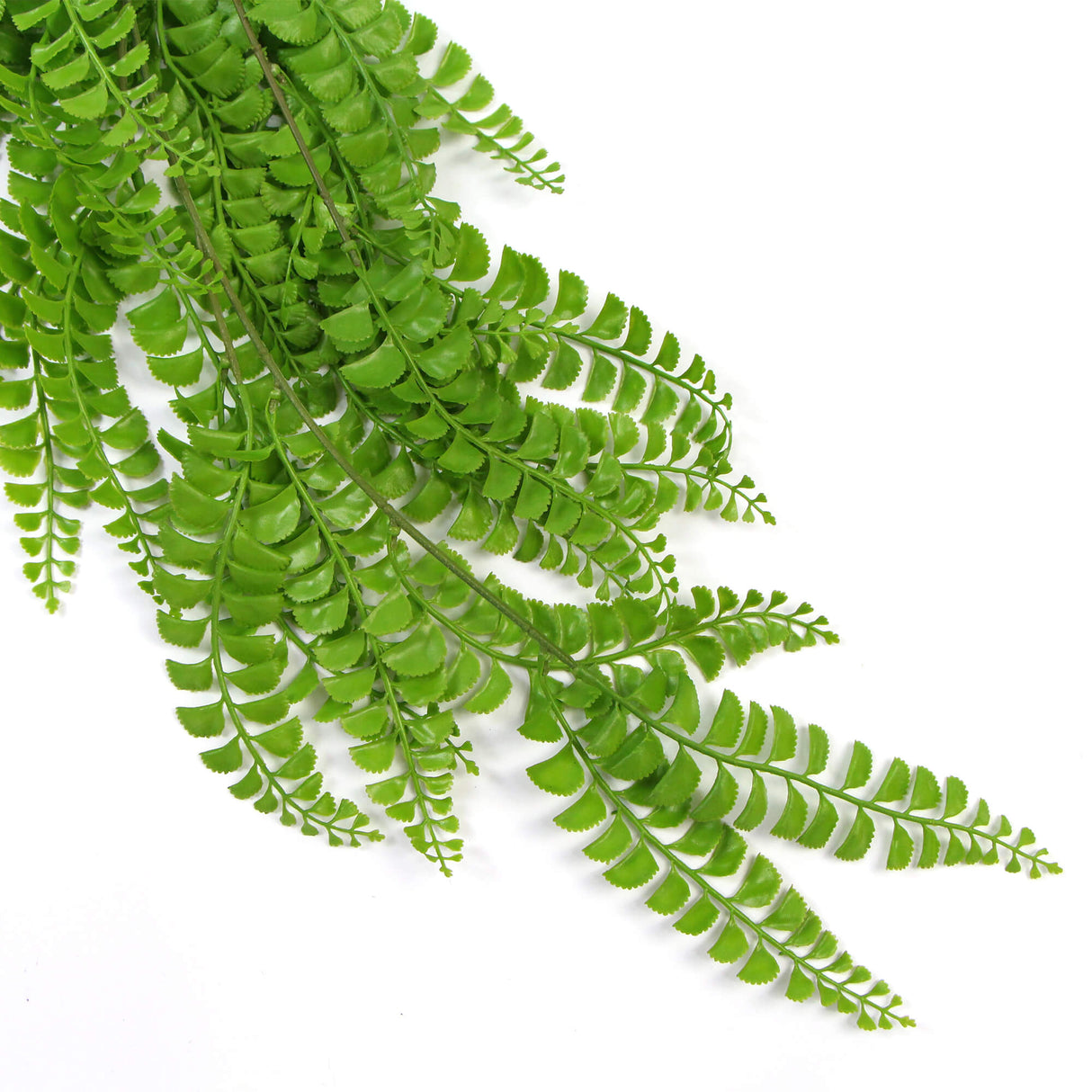 Artificial Dark Green Hanging Button Fern Plant 31" UV Resistant from Designer Plants USA