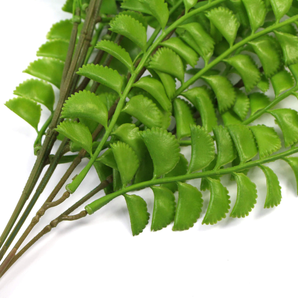 Artificial Dark Green Hanging Button Fern Plant 31" UV Resistant from Designer Plants USA