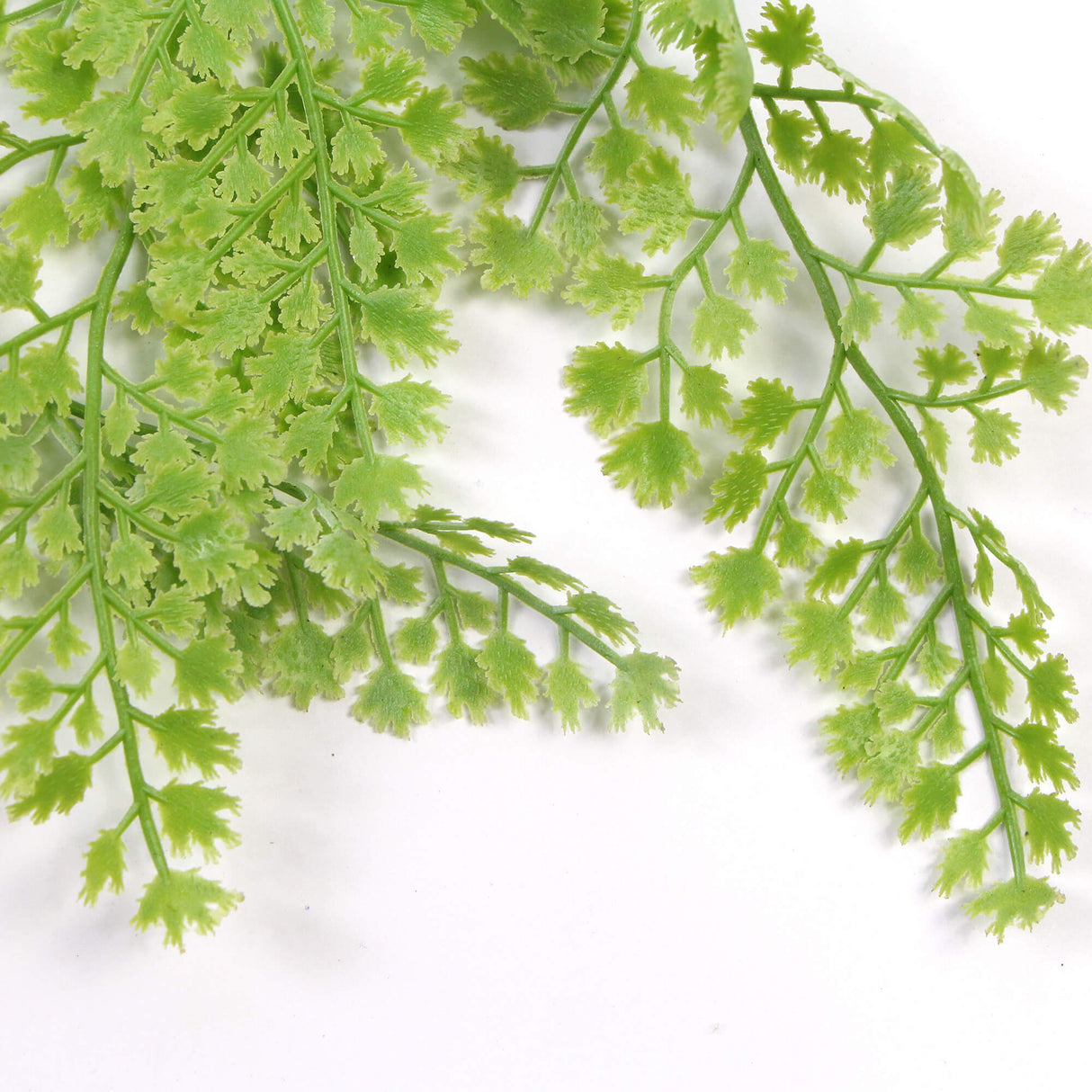 Artificial Light Green Maidenhair Fern 31" UV Resistant from Designer Plants USA